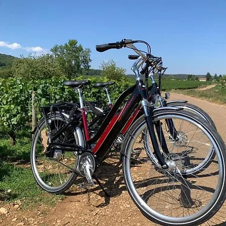 Dom wakacyjny Le Clos Des Jardins *