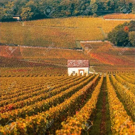 Дом отдыха Le Clos Des Jardins *