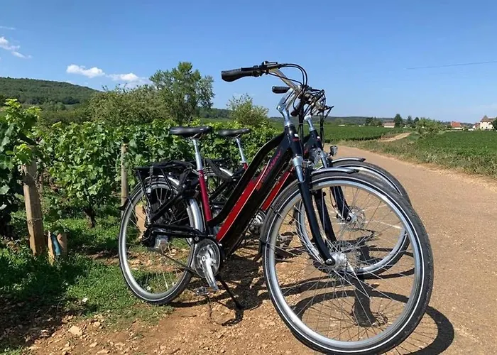 別荘 Le Clos Des Jardins *