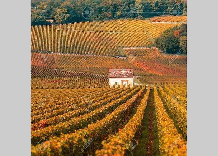 בית נופש Le Clos Des Jardins *